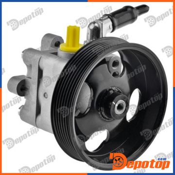 Pompe de direction assistée pour NISSAN | SPW-NS-013, 15-1390